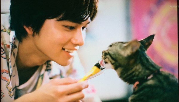 動物と一緒に写ってるイケメン有名人が観たい