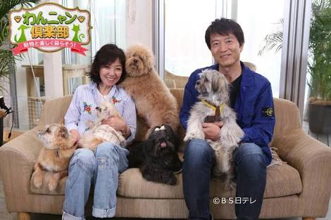 動物と一緒に写ってるイケメン有名人が観たい