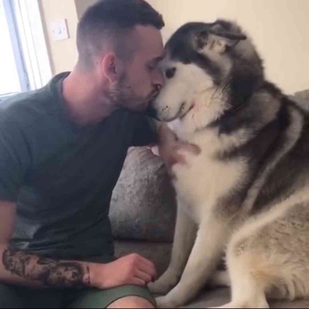 動物と一緒に写ってるイケメン有名人が観たい
