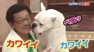 動物と一緒に写ってるイケメン有名人が観たい