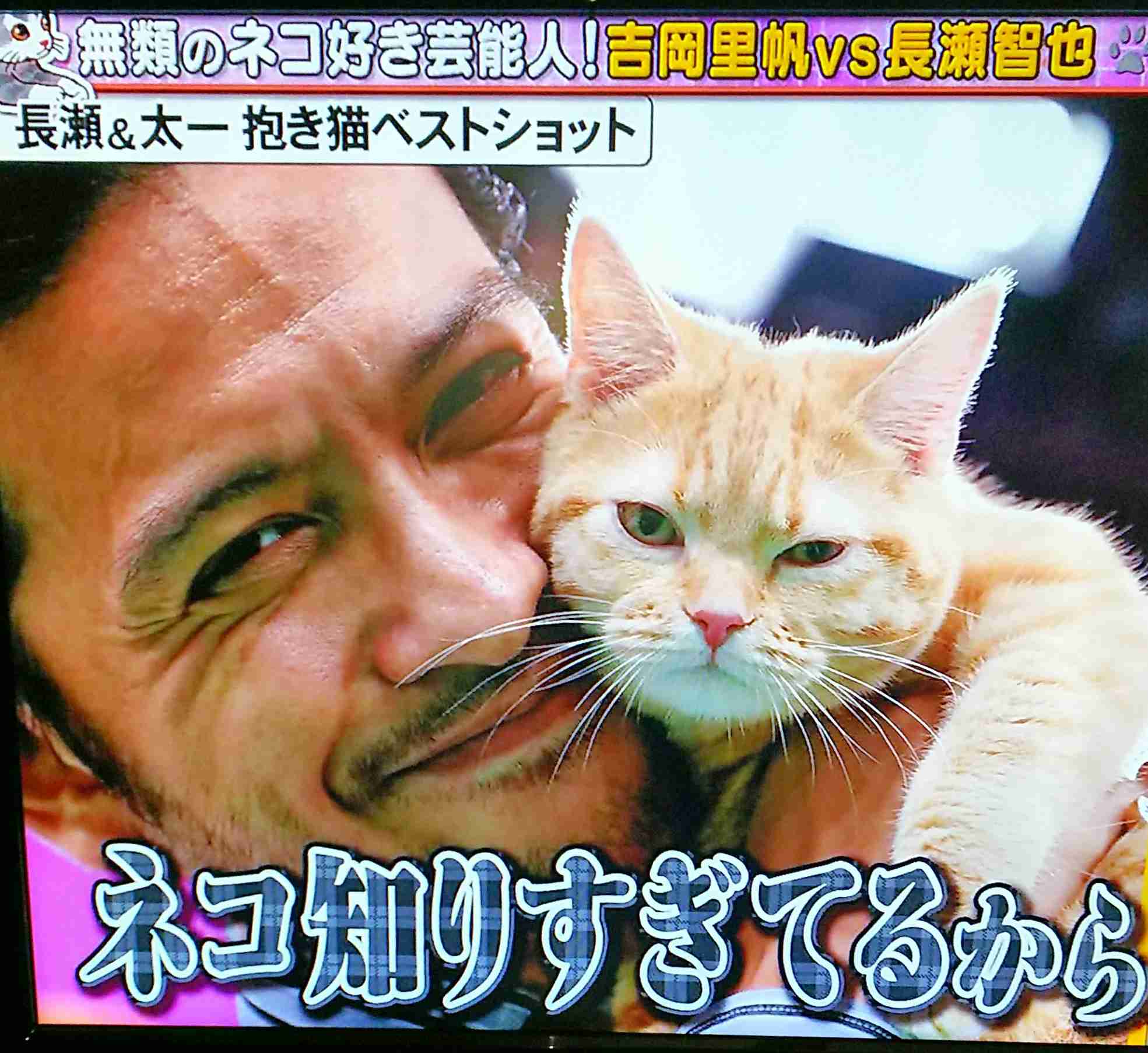 動物と一緒に写ってるイケメン有名人が観たい