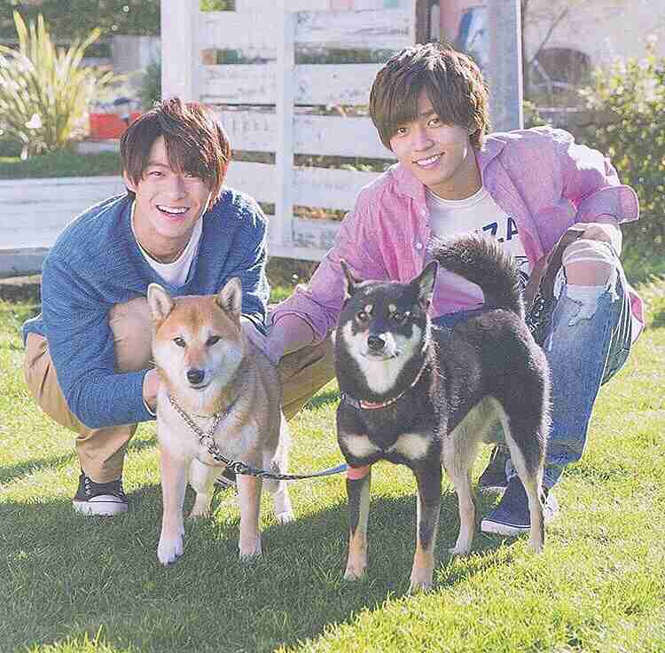 動物と一緒に写ってるイケメン有名人が観たい