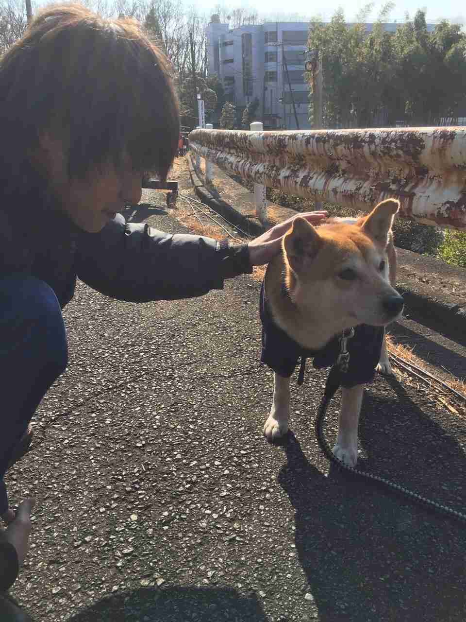 動物と一緒に写ってるイケメン有名人が観たい