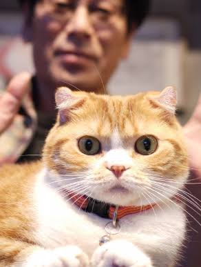 動物と一緒に写ってるイケメン有名人が観たい