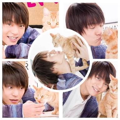 動物と一緒に写ってるイケメン有名人が観たい