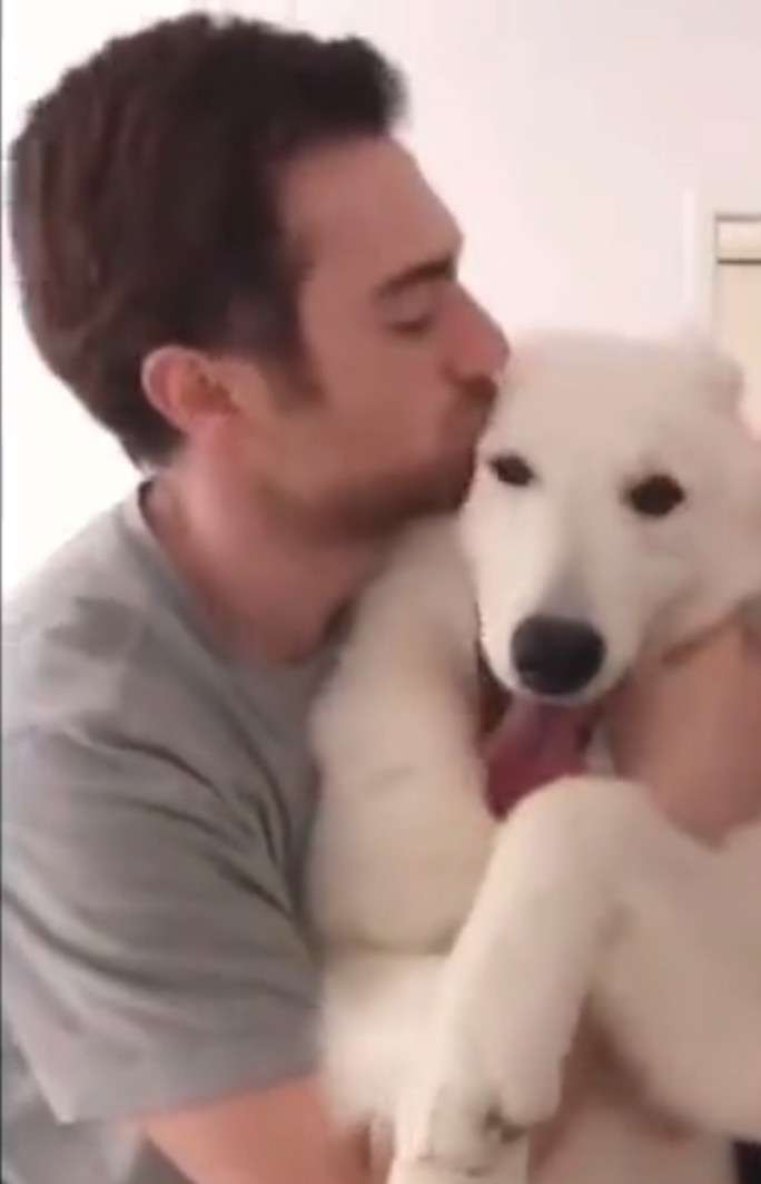 動物と一緒に写ってるイケメン有名人が観たい