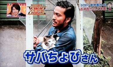 動物と一緒に写ってるイケメン有名人が観たい