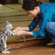 動物と一緒に写ってるイケメン有名人が観たい