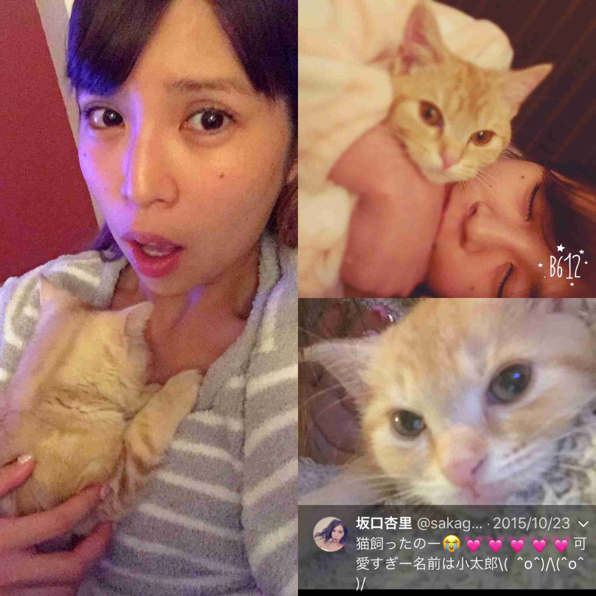 「そこまで叩く理由がわかりません」フィフィ、風俗店勤務の坂口杏里への誹謗中傷コメントに苦言