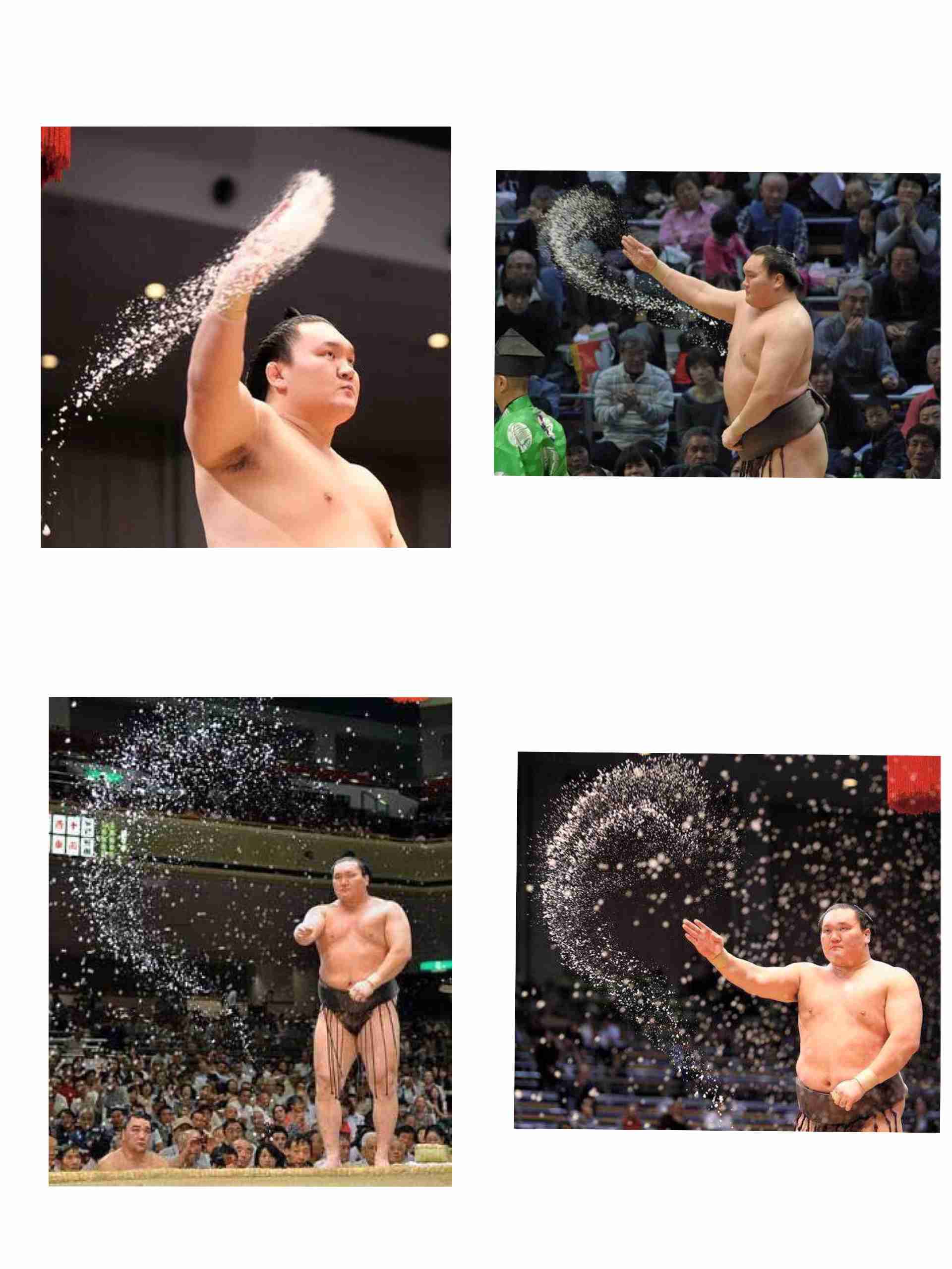 そんなわけない画像を貼るトピ