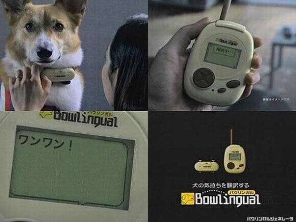 そんなわけない画像を貼るトピ