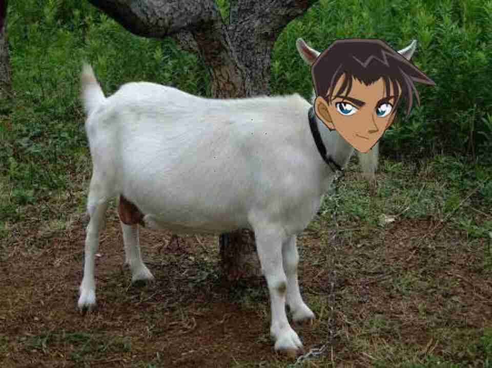 【もろたで】せやかて工藤になって小さい秋見つけよう 【Part.6】