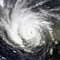 【もろたで】せやかて工藤になって小さい秋見つけよう 【Part.6】