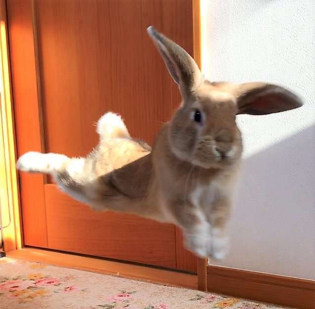 【もろたで】せやかて工藤になって小さい秋見つけよう 【Part.6】