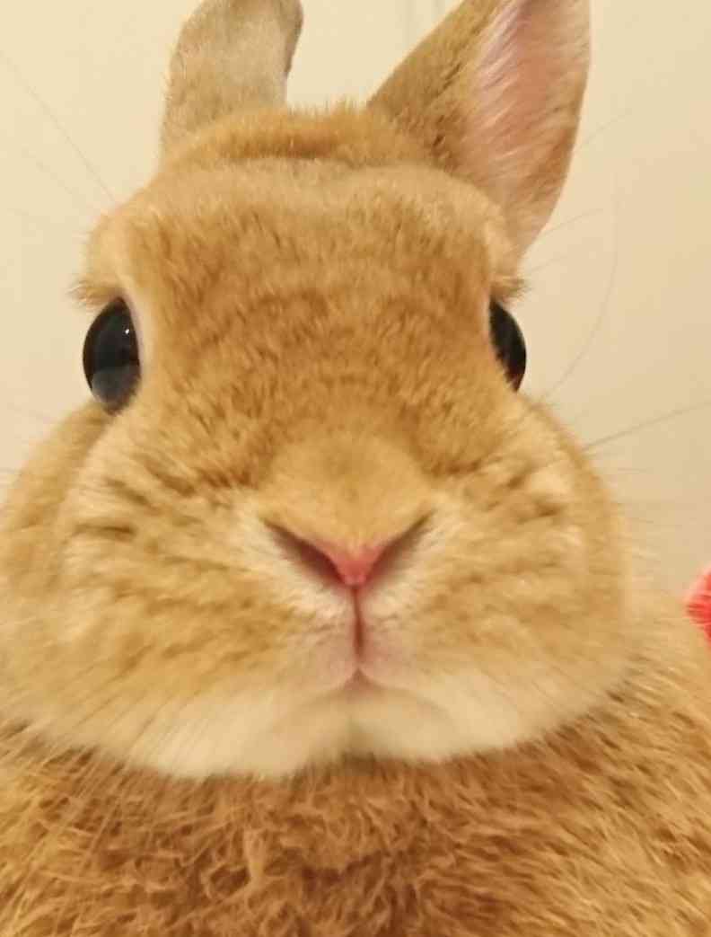 【もろたで】せやかて工藤になって小さい秋見つけよう 【Part.6】