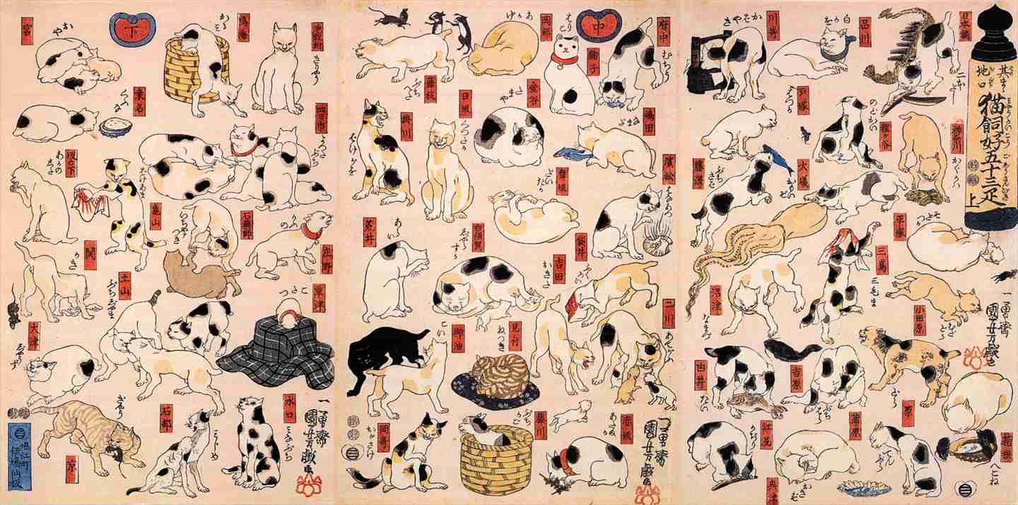 猫の絵を貼るトピ
