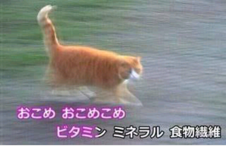 カラオケ映像で気になる人