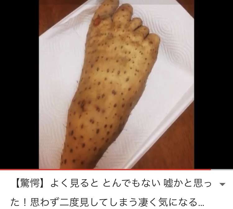 ガルちゃんで画像(サイト)を貼り付ける方法&練習 Part20