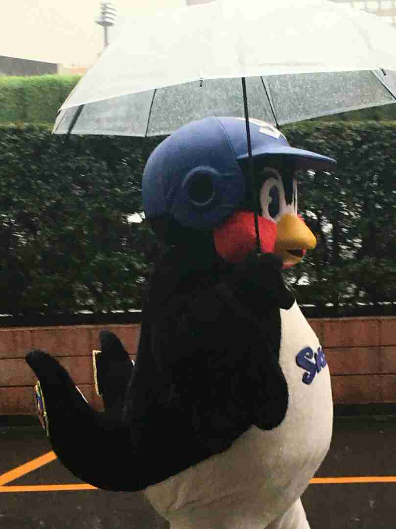 ガルちゃんで画像(サイト)を貼り付ける方法&練習 Part20
