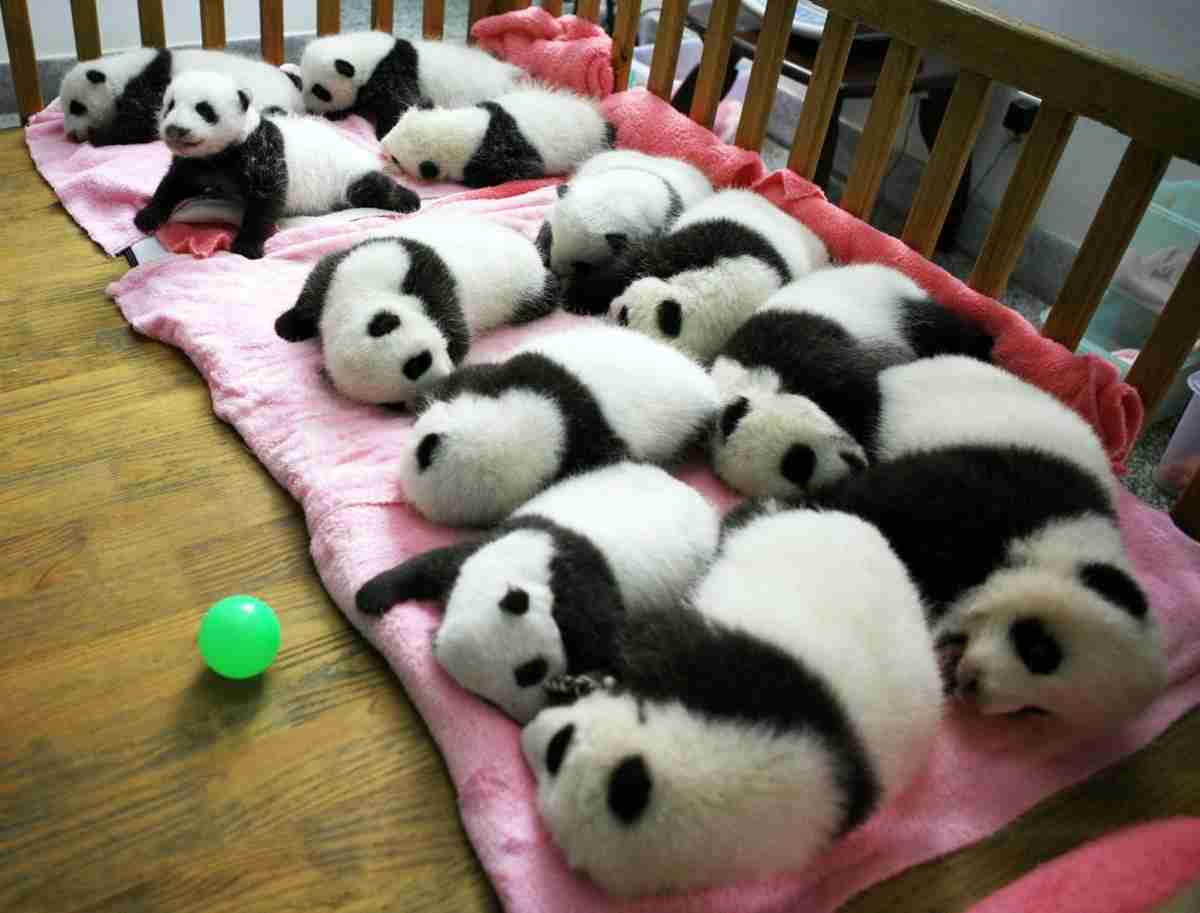 話し相手がいない人の雑談トピpart4