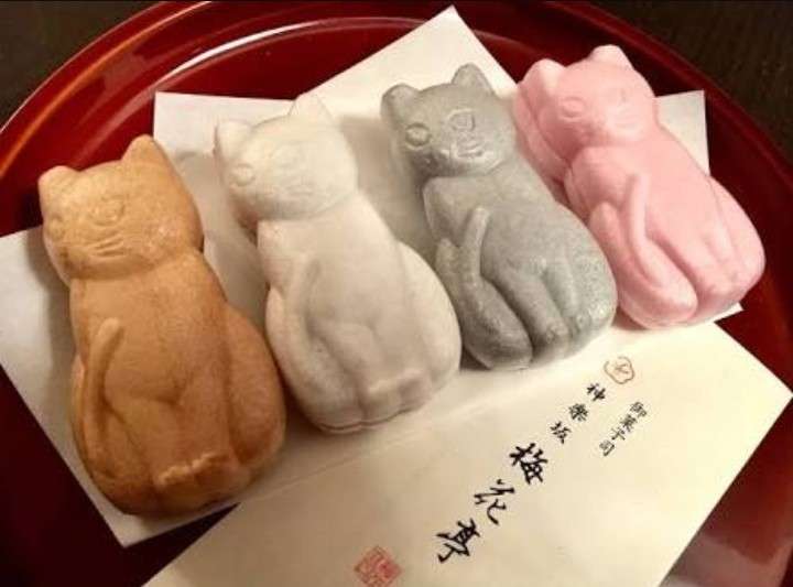乙女心をくすぐるお菓子