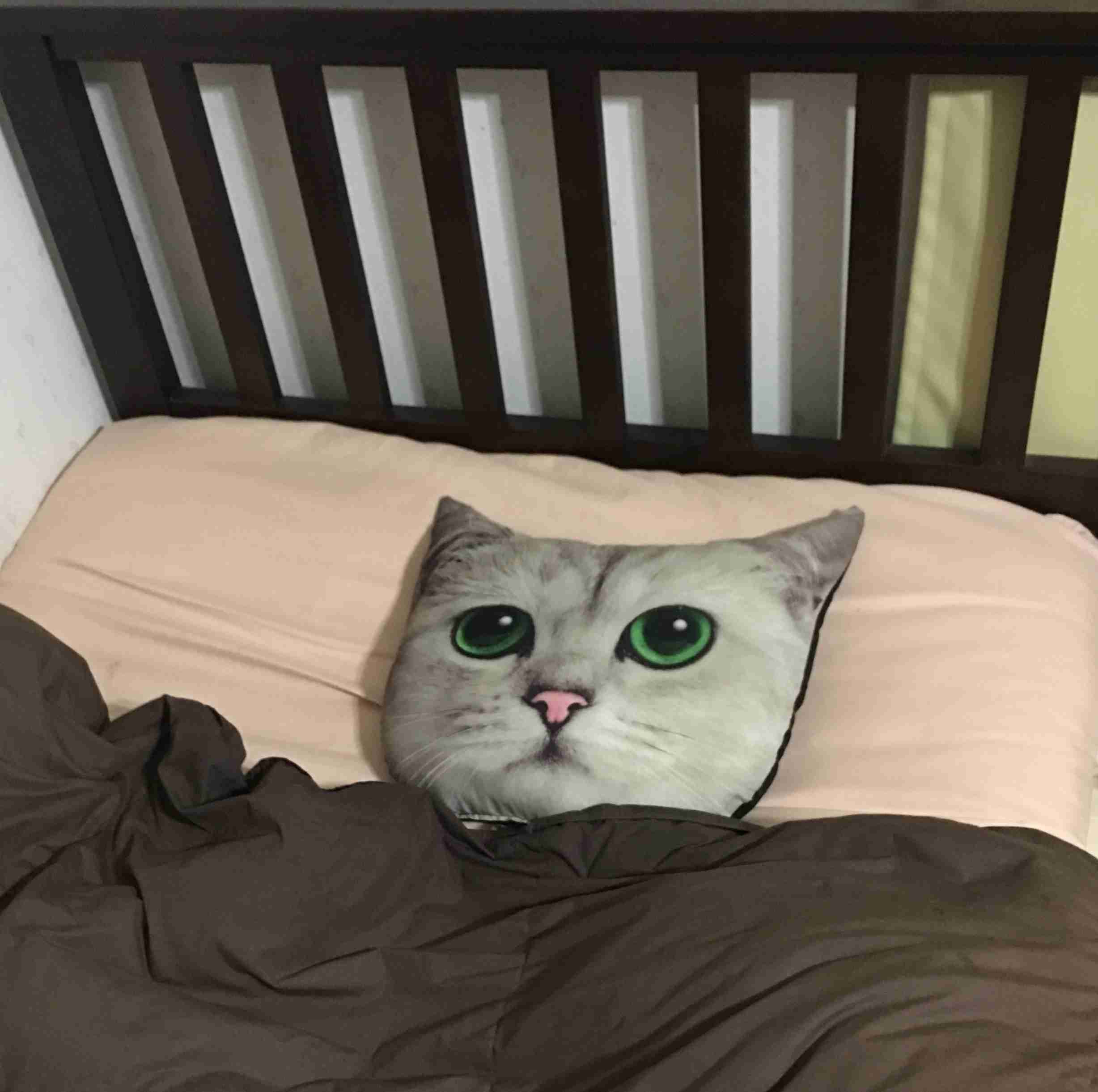 皆の枕何使ってるー?