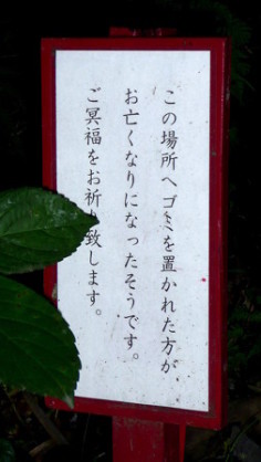 【閲覧注意】ホラーっぽく見える画像を貼るトピ