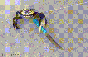 【閲覧注意】ホラーっぽく見える画像を貼るトピ