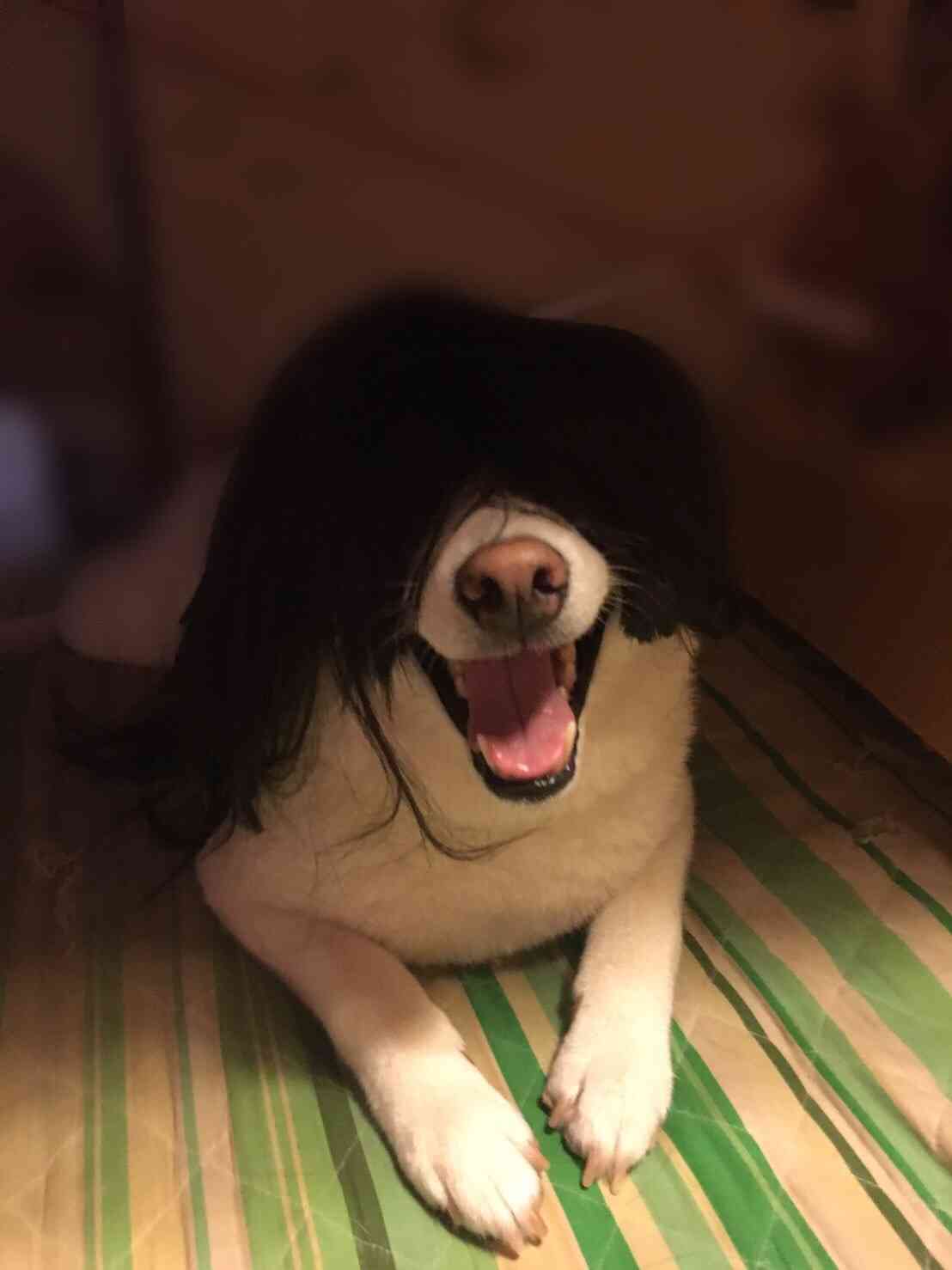 【閲覧注意】ホラーっぽく見える画像を貼るトピ