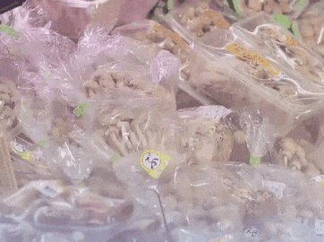 フォルダ内のイケメンGIF画像を解き放つトピ