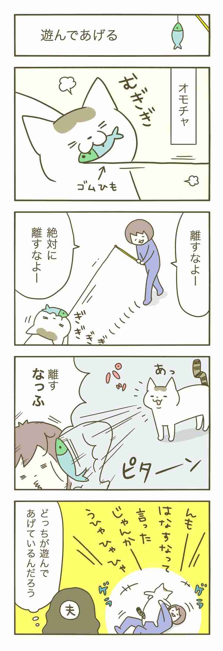 ペットのほのぼのエピソード！