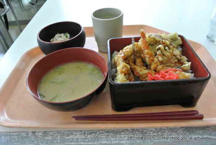 【画像】定食好き