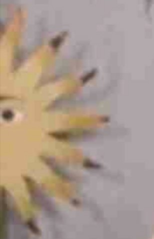 「素っぴんでも可愛い！」ざわちん、パジャマ姿のナチュラルオフショットに絶賛の声