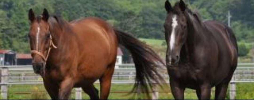 「素っぴんでも可愛い！」ざわちん、パジャマ姿のナチュラルオフショットに絶賛の声