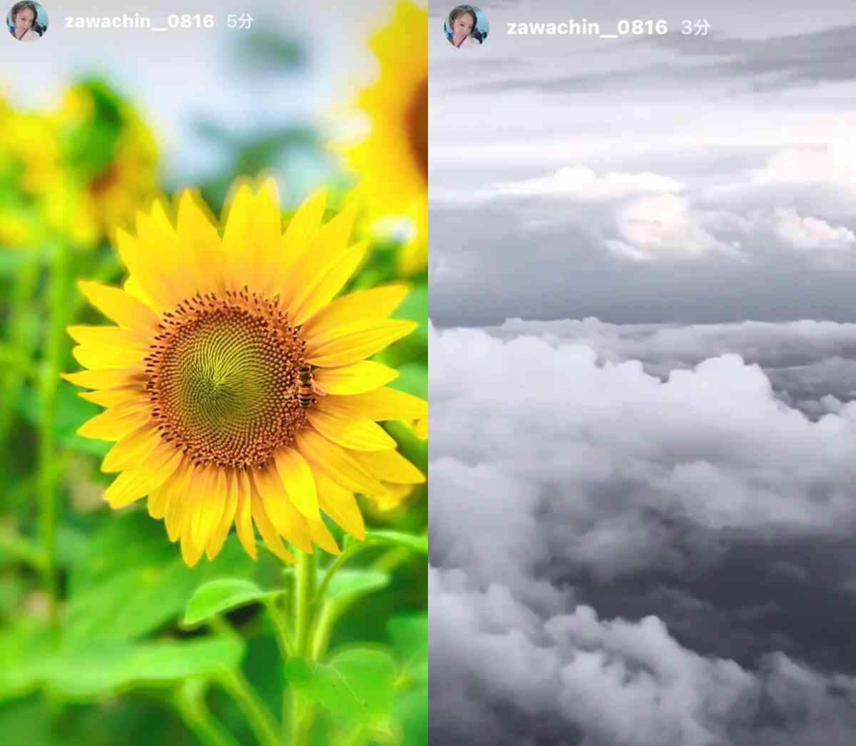 「素っぴんでも可愛い！」ざわちん、パジャマ姿のナチュラルオフショットに絶賛の声