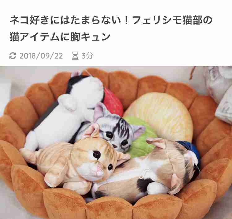 可愛いペット用グッズの画像