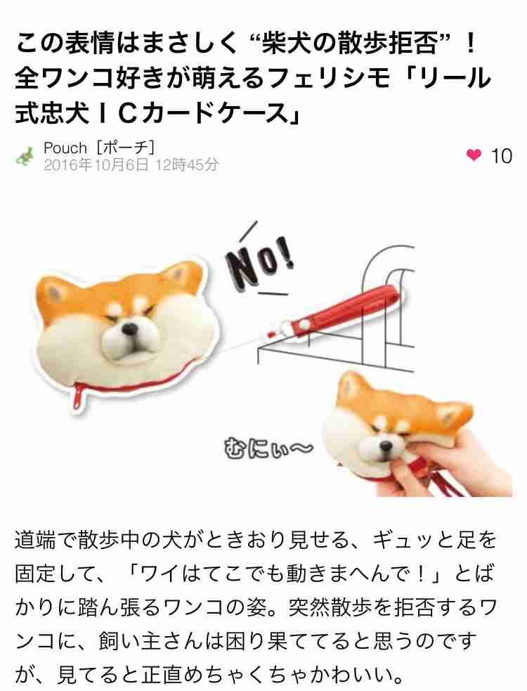 可愛いペット用グッズの画像