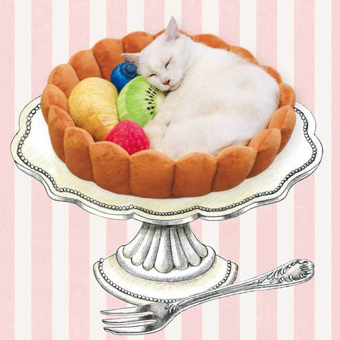 可愛いペット用グッズの画像