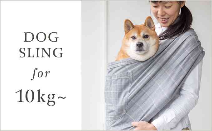 可愛いペット用グッズの画像