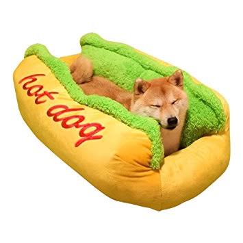 可愛いペット用グッズの画像