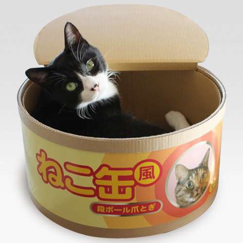 可愛いペット用グッズの画像