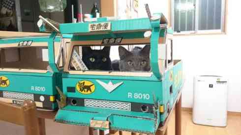 可愛いペット用グッズの画像
