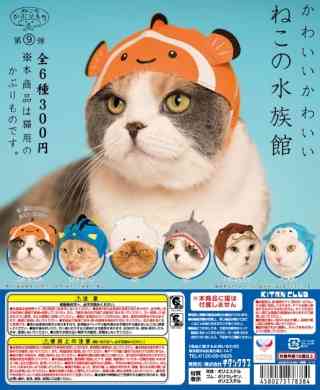 可愛いペット用グッズの画像