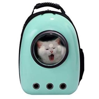 可愛いペット用グッズの画像