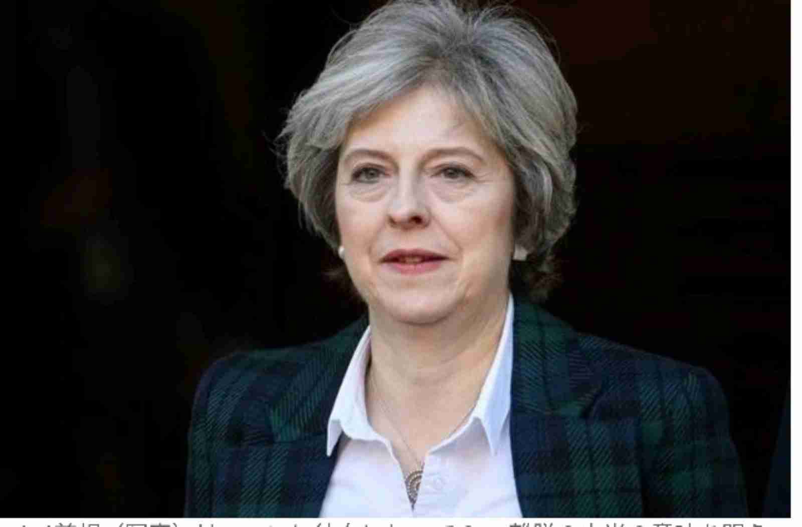 「ネズミ捕獲長」の猫が一時行方不明 英財務省全体がパニックに