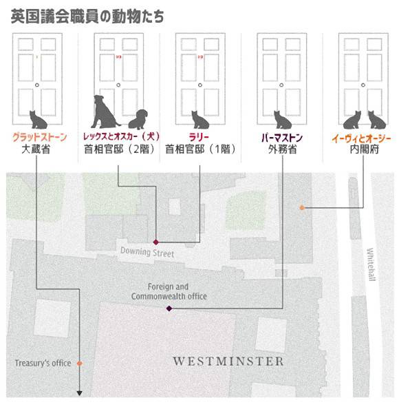 「ネズミ捕獲長」の猫が一時行方不明 英財務省全体がパニックに