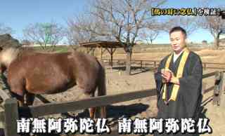 ことわざや名言を表すような画像を貼るトピ