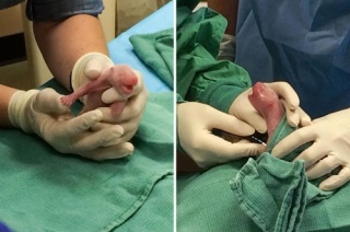 ガルちゃんに一度でも貼ったことある画像を再度貼ってみるトピ