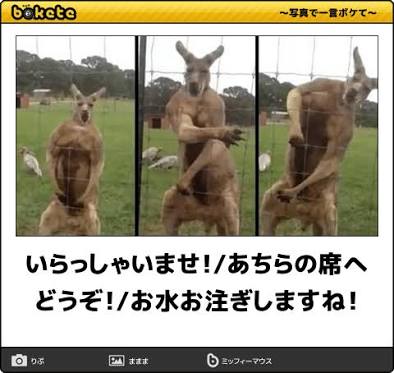 ガルちゃんに一度でも貼ったことある画像を再度貼ってみるトピ