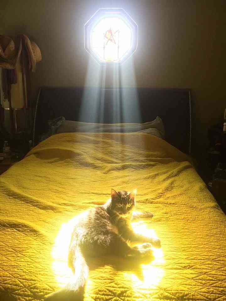 ガルちゃんに一度でも貼ったことある画像を再度貼ってみるトピ